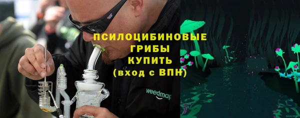 сатива Белоозёрский