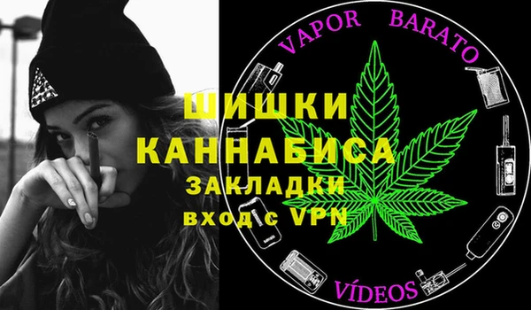 apvp Белокуриха