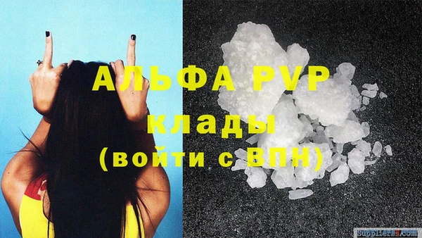 сатива Белоозёрский